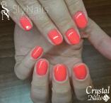 Best Nails - Gél lakk 