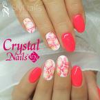 Best Nails - Gél lakk 