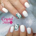 Best Nails - gél lakk