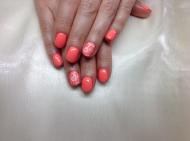 Gél Lakk nyomdával