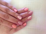 Gél Lakk nyomdával