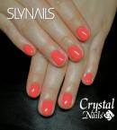 Best Nails - Gel polish