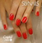 Best Nails - Gellakk 