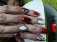 Best Nails - Shellac