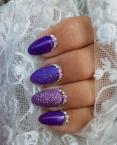 Lila elegancua