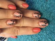 Gellac festve