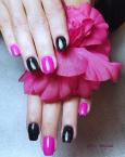 Pink fekete