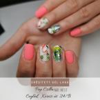 Best Nails - Gél lakk 