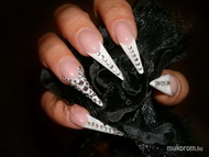 Best Nails - strassz francia stiletto