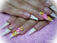 Best Nails - Fanninak