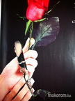 Best Nails - Elegáns