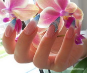 Best Nails - őszi kék