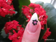 Best Nails - virágos