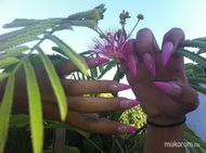 Best Nails - sajátom 