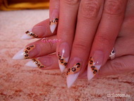 Leopárdos porci 2012