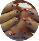 Best Nails - Stiletto nails