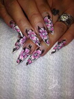 Best Nails - Stiletto nails