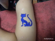 blue cat