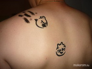 Best Nails - támadnak a madarak