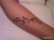 henna inda2