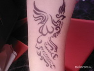 henna4