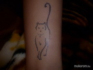 Best Nails - csillámtetkó