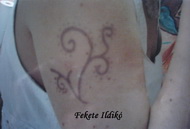 Henna