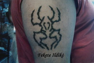 Henna