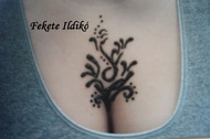 Henna