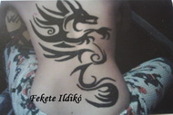 Henna