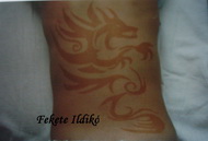 Henna