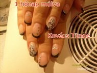 bizonyítom a facebookon ki készítette