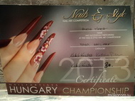 Nail Artist versenyen