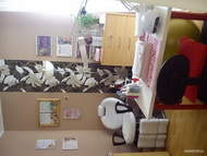 Best Nails - kuckóm