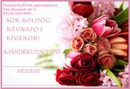 Best Nails - ajándékutavány is vásárolható