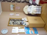 Best Nails - kuckóm