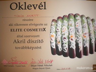 Best Nails - akril díszítö oklevél