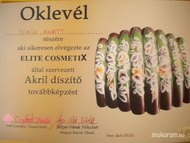 Best Nails - akril díszítő3