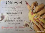 Best Nails - technikai továbbképzésről oklevél