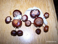 Best Nails - menyasszony és vőlegény kipkopp