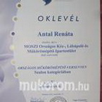 Best Nails - oklevél