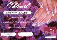 Best Nails - Első oklevelem