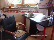 Szalonom Gyöngyösön