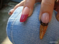Best Nails - porci