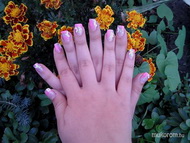 Szandinak porci akrillal