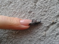 Best Nails - zselés köröm