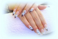 lilás porci virággal