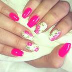 Pink roses