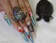 Best Nails - Hawaii