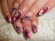 babarózsaszín kaméleonvirággal